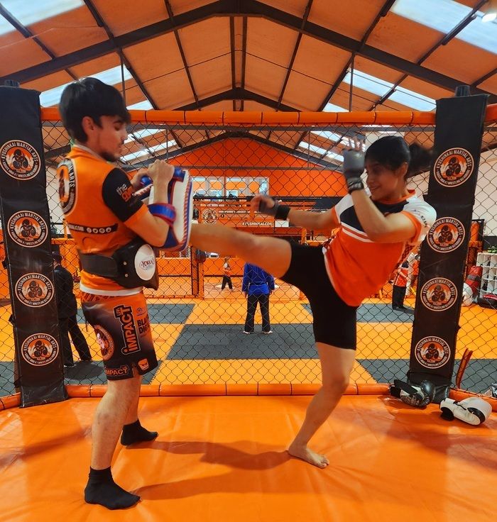 <center>Get Inspired by the Best MMA Instructors<center>